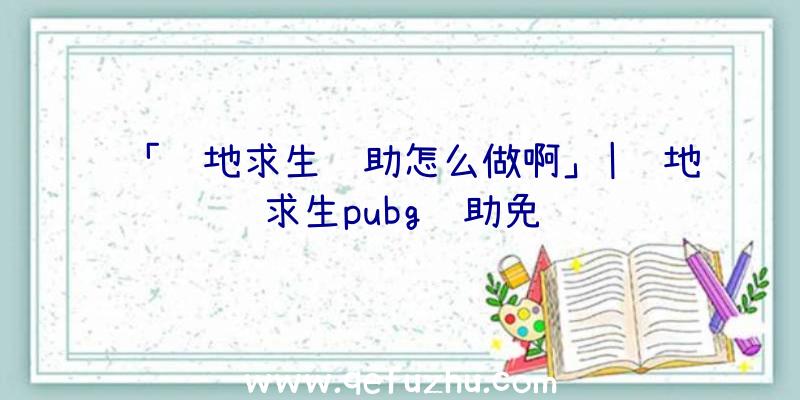 「绝地求生辅助怎么做啊」|绝地求生pubg辅助免费